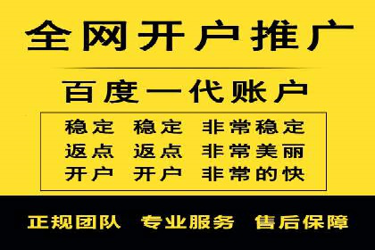 大型企业SEM外包实战案例